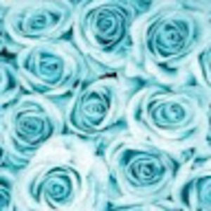 Meet your Posher, Kailah